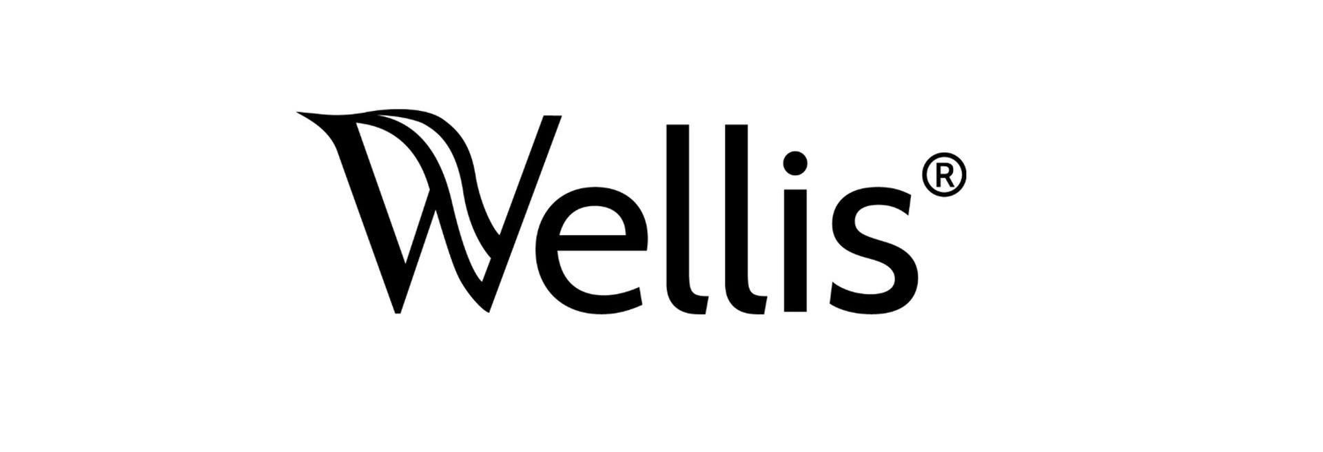 Wellis Expands Hot Tub Manufacturing Capacity in Ózd - VIDEO REPORT